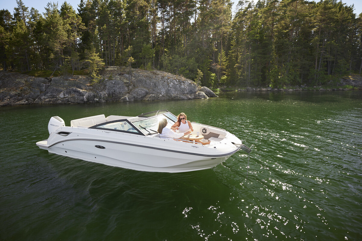 Sea Ray SDX 250 Outboard — foto 14 van 19