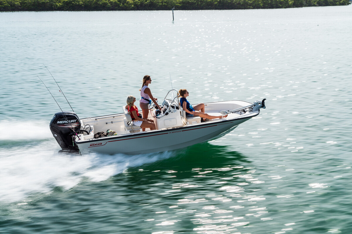 Boston Whaler 170 Montauk — foto 34 van 34