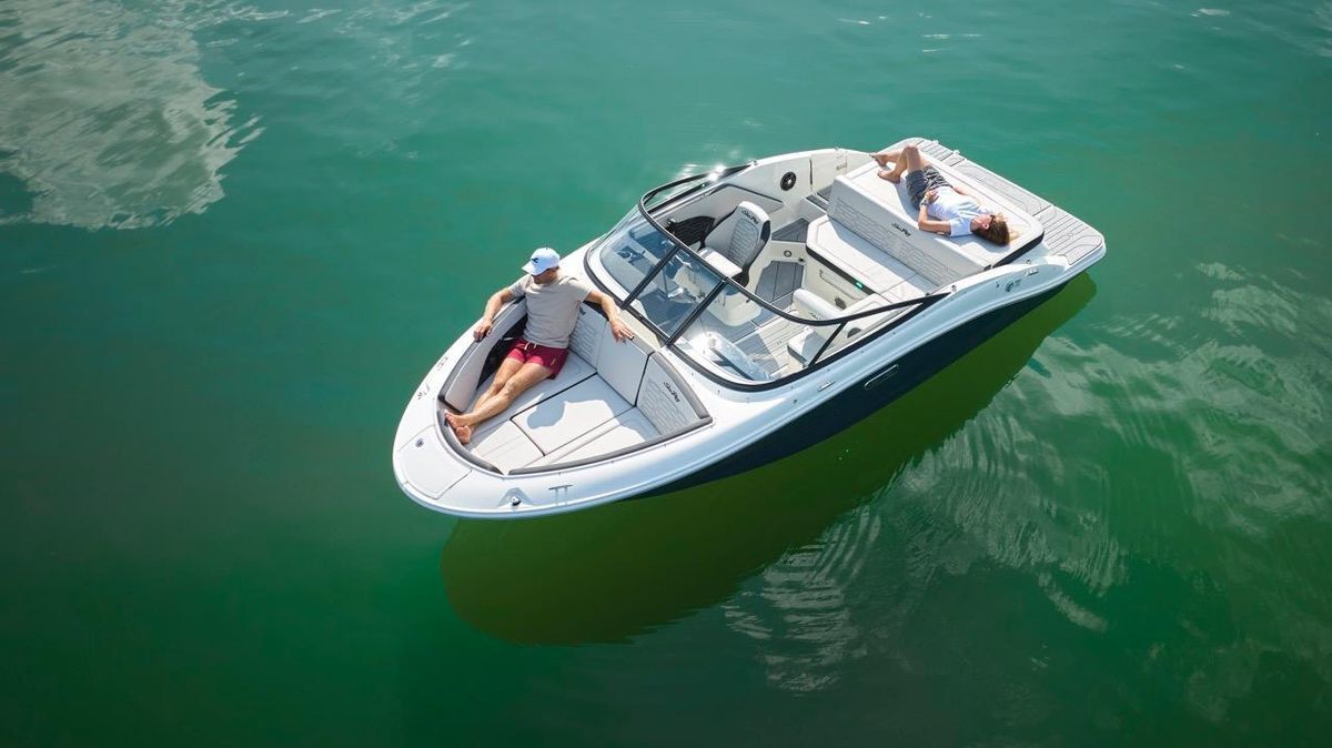 Sea Ray SPX 190 New Model 2025 — foto 4 van 20