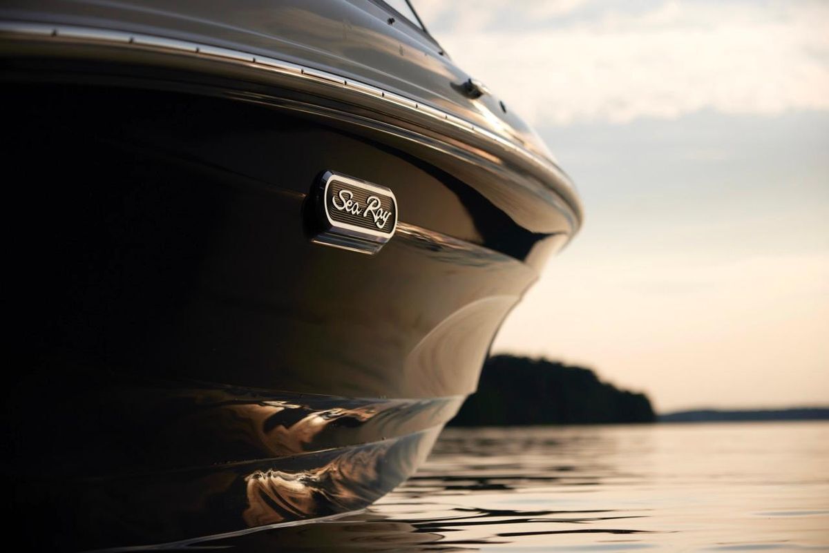 Sea Ray SPX 190 New Model 2025 — foto 6 van 20