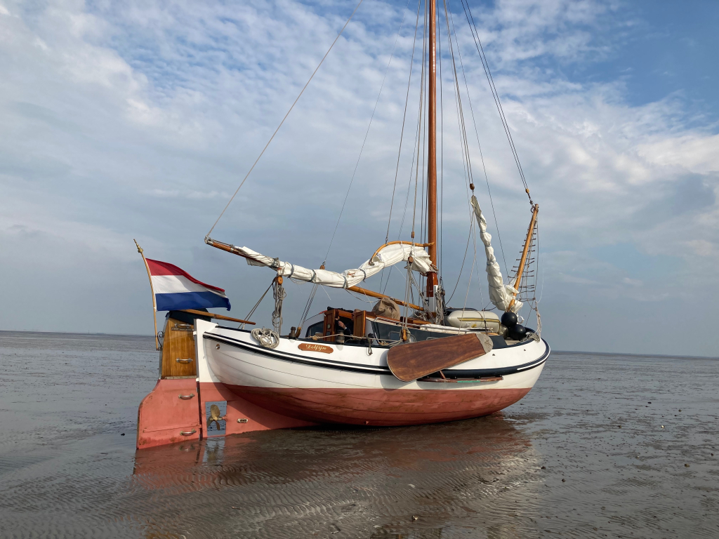Lemsteraak Roefmodel 1010 - Dolfijn — foto 10 van 39