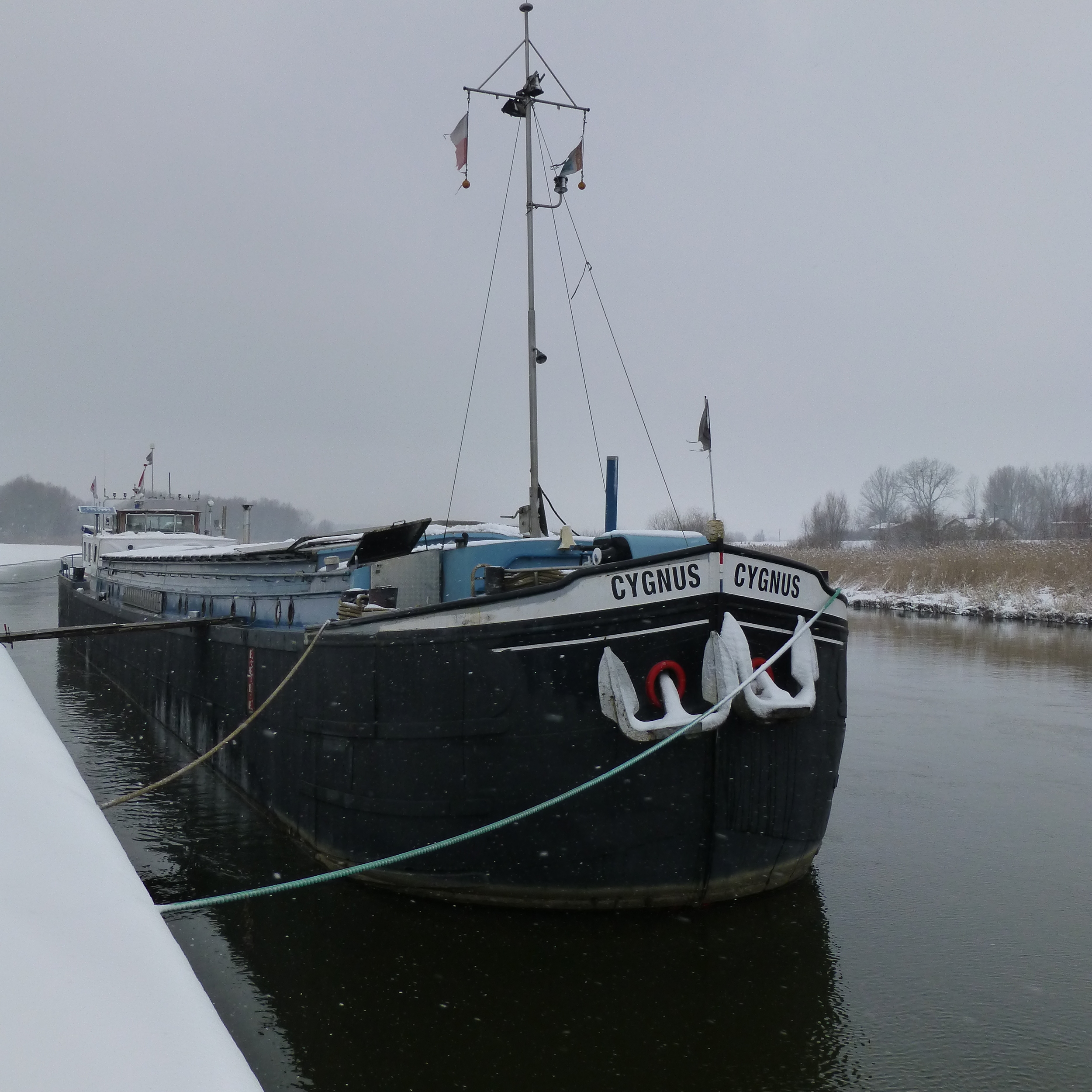 Spits 38.86 — foto 1 van 12
