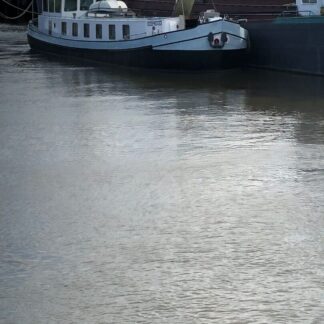 Mystique — foto 6 van 6