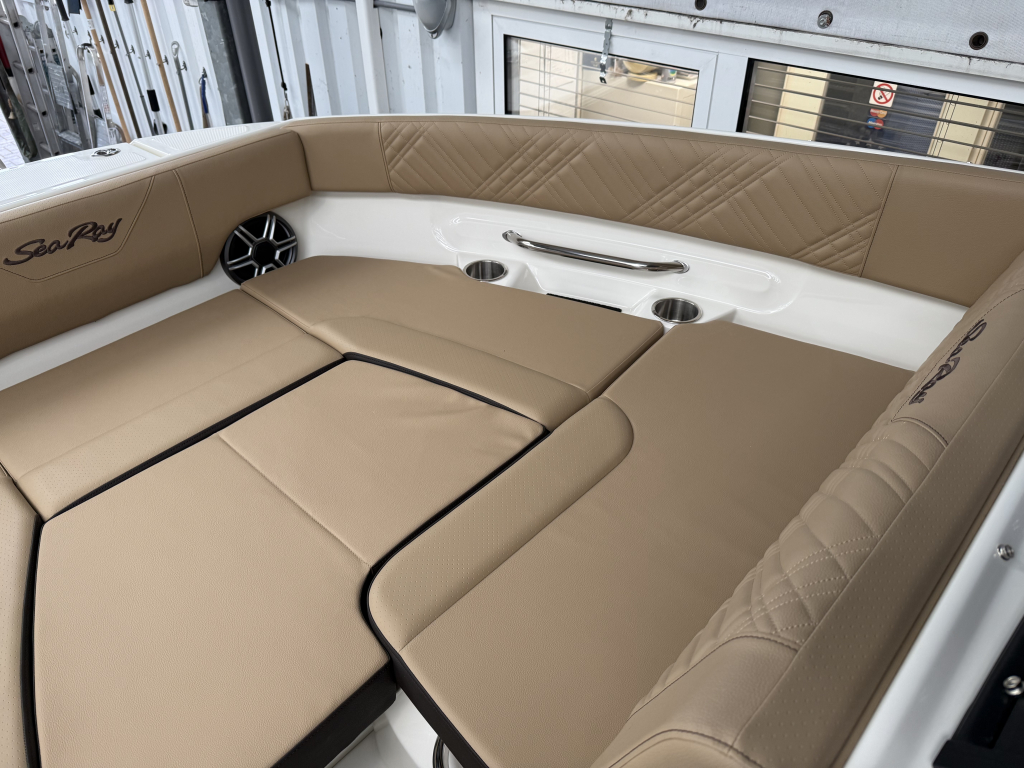 Sea Ray SDX 250 Outboard — foto 30 van 31