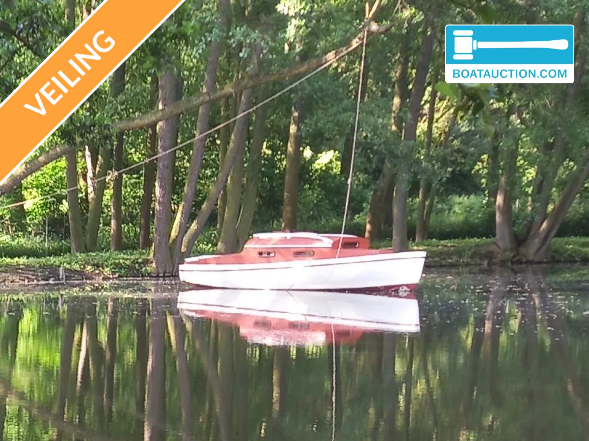 Cabinboat 700 nu in de online veiling. — foto 1 van 24