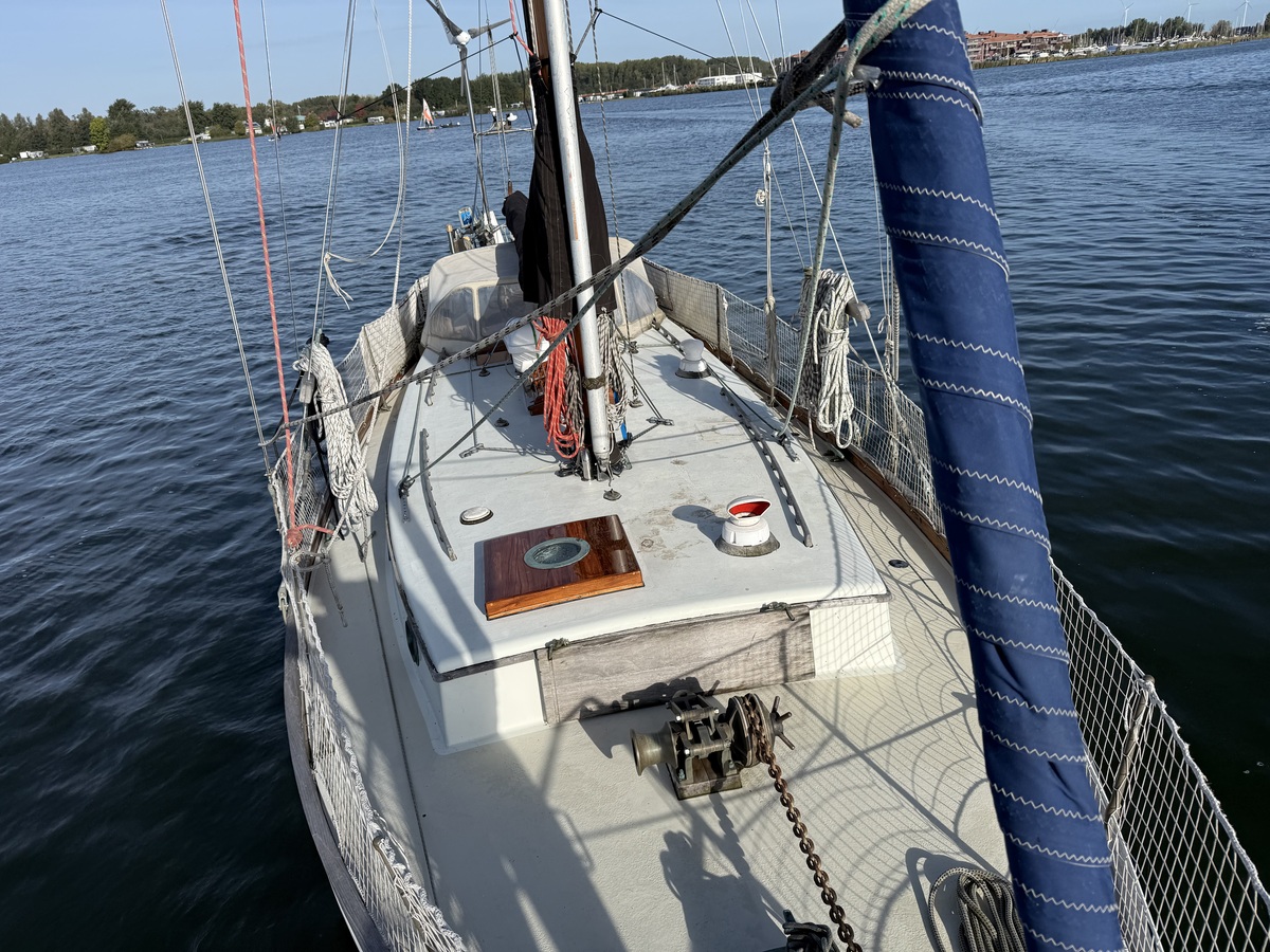 ORCA 38 — foto 59 van 74