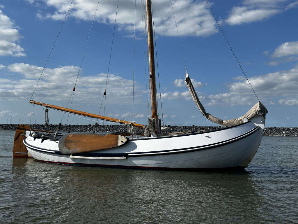 Lemsteraak Visserman - De Blauwe Vinvis — foto 1 van 55