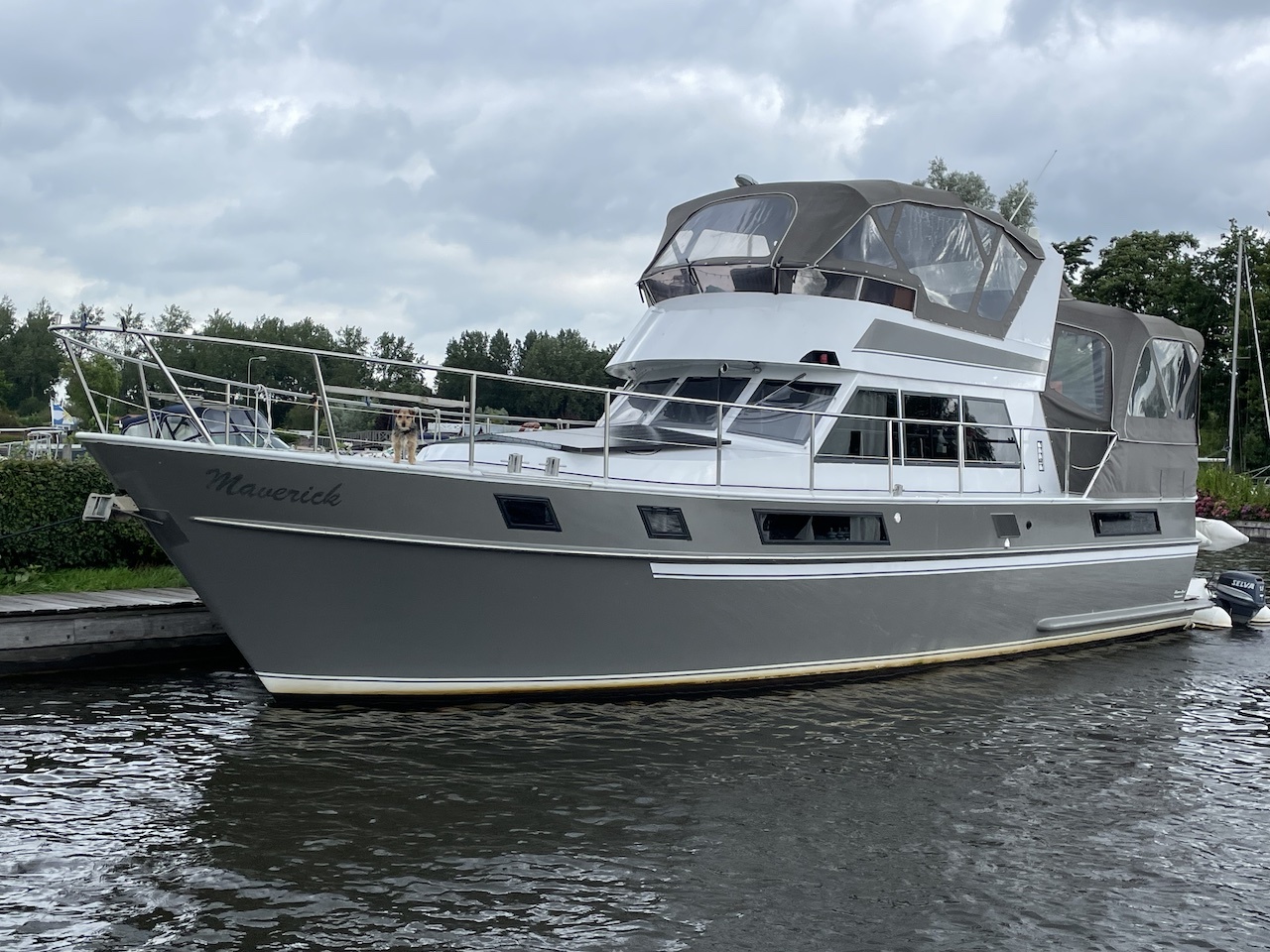 Blauwe Hand Commander — foto 17 van 23