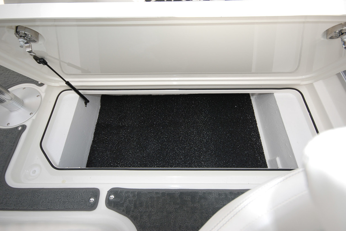 Sea Ray Sun Sport 250 — foto 36 van 73