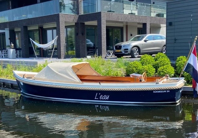 Kokmeeuw  24 — foto 1 van 6