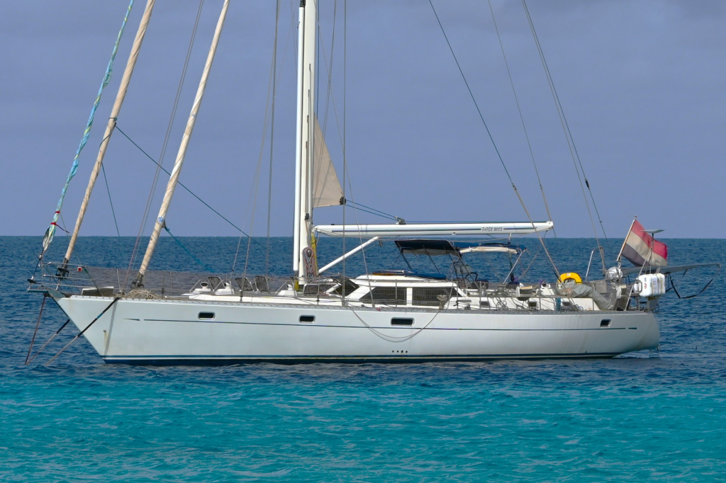 Oyster55