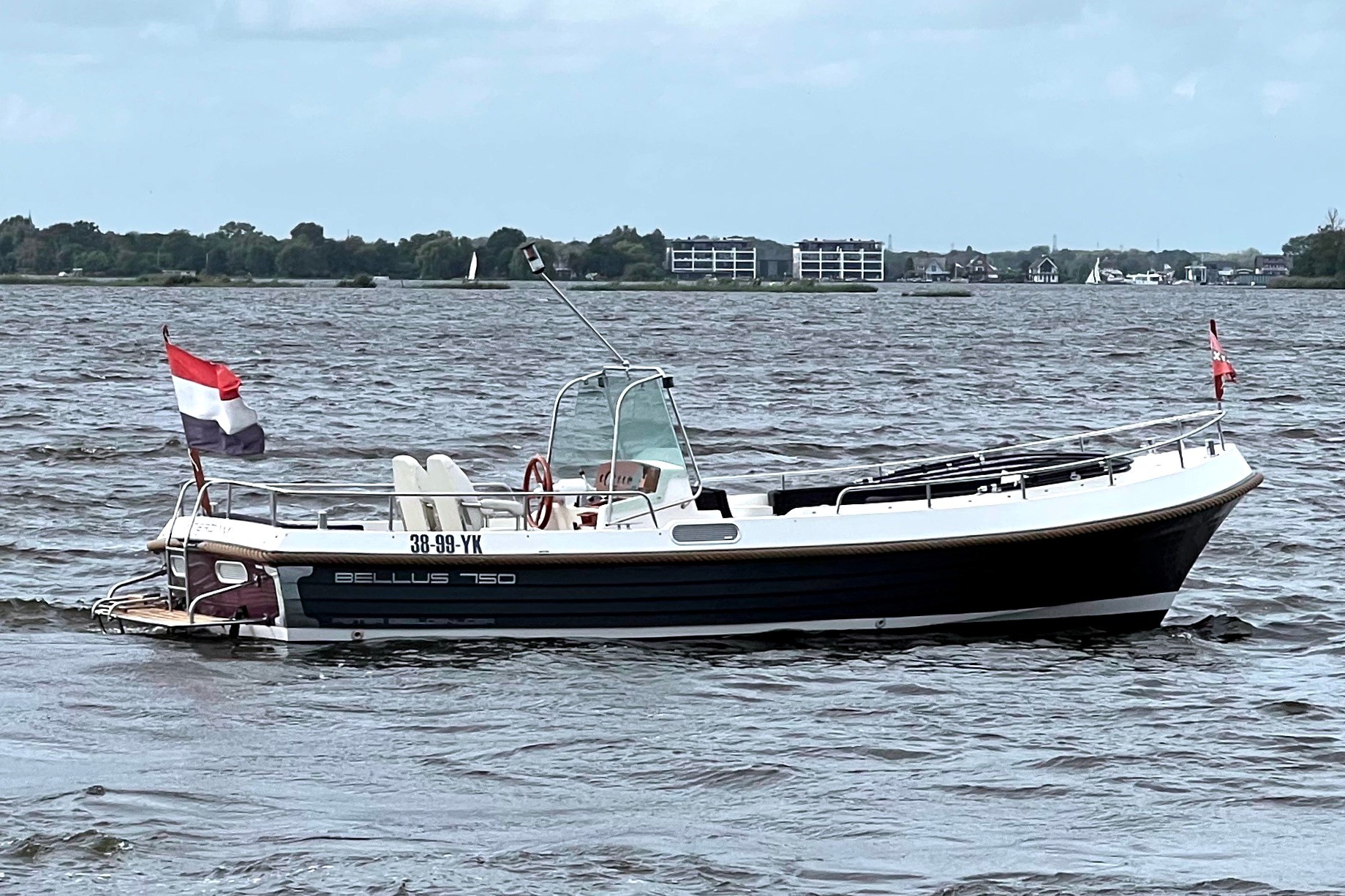 Bellus 750 Pieter Beeldsnijder — foto 2 van 27