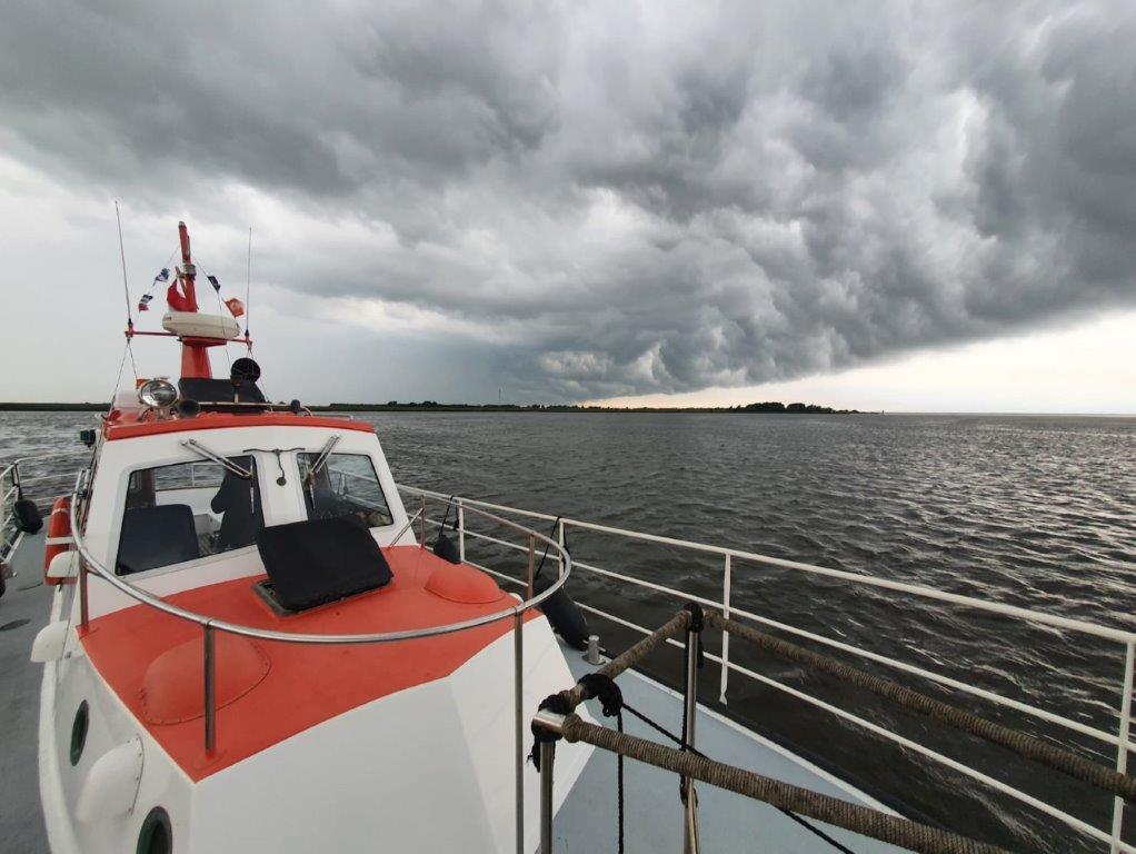 Nelson  Halmatic Pilot 40 FT — foto 8 van 91