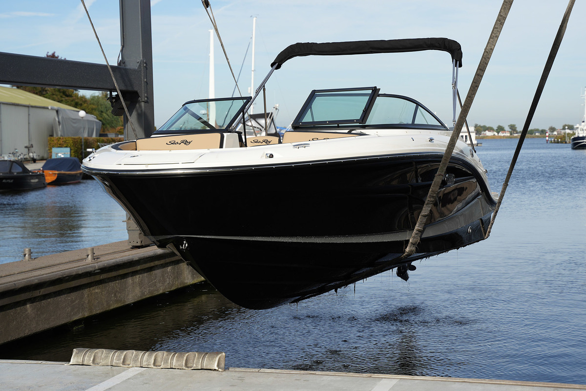 Sea Ray SPX 210 — foto 49 van 56