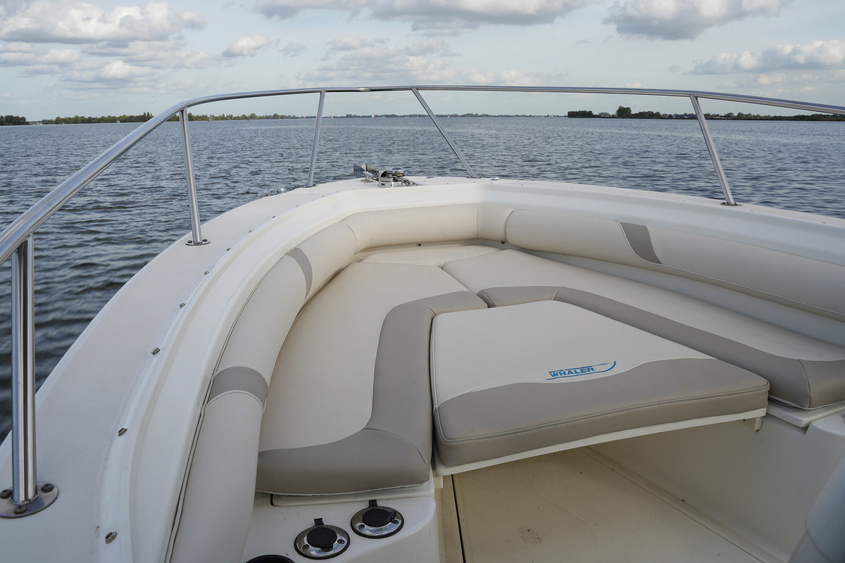 Boston Whaler 270 Outrage — foto 13 van 44