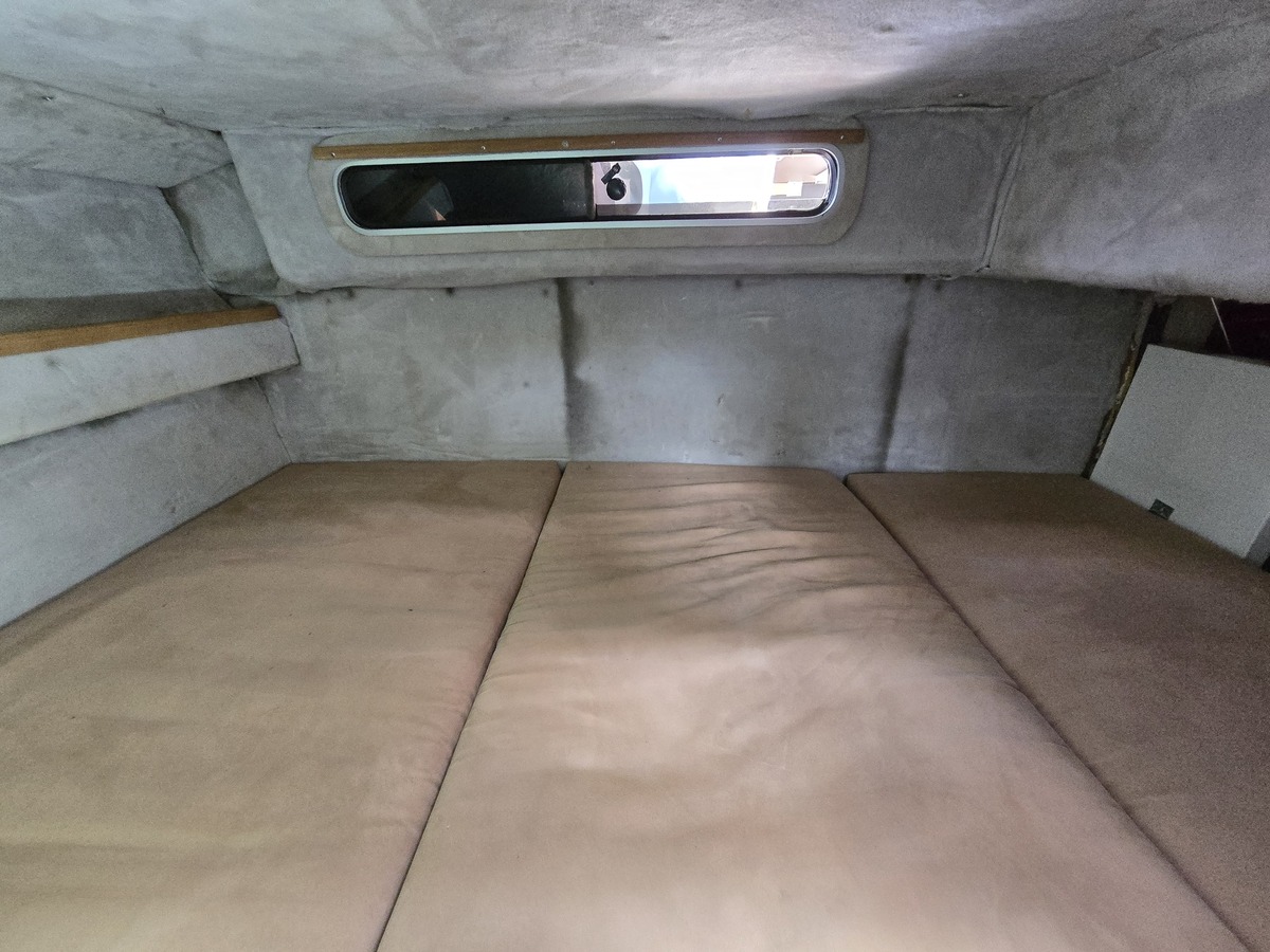 Sea Ray 220DA — foto 15 van 23