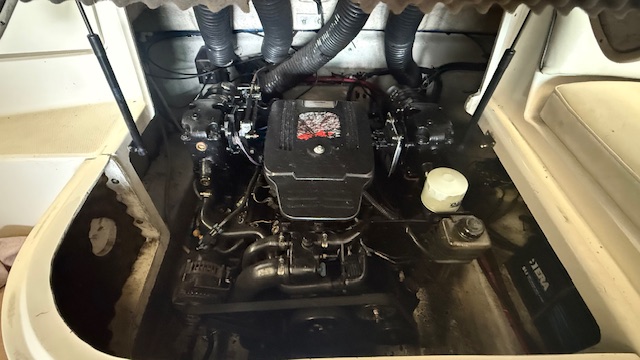 Sea ray — foto 16 van 16