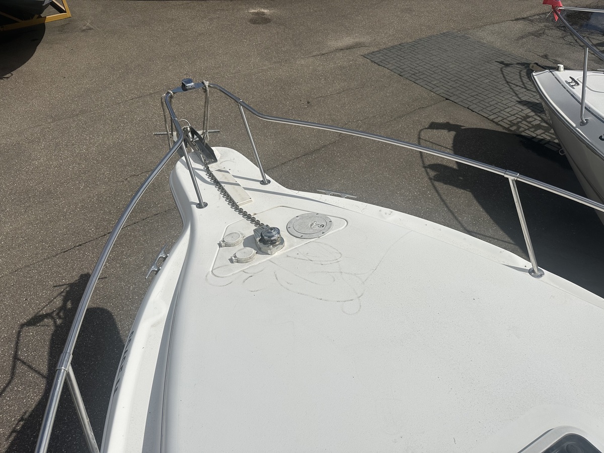 Sea Ray 250 Sundancer — foto 17 van 19