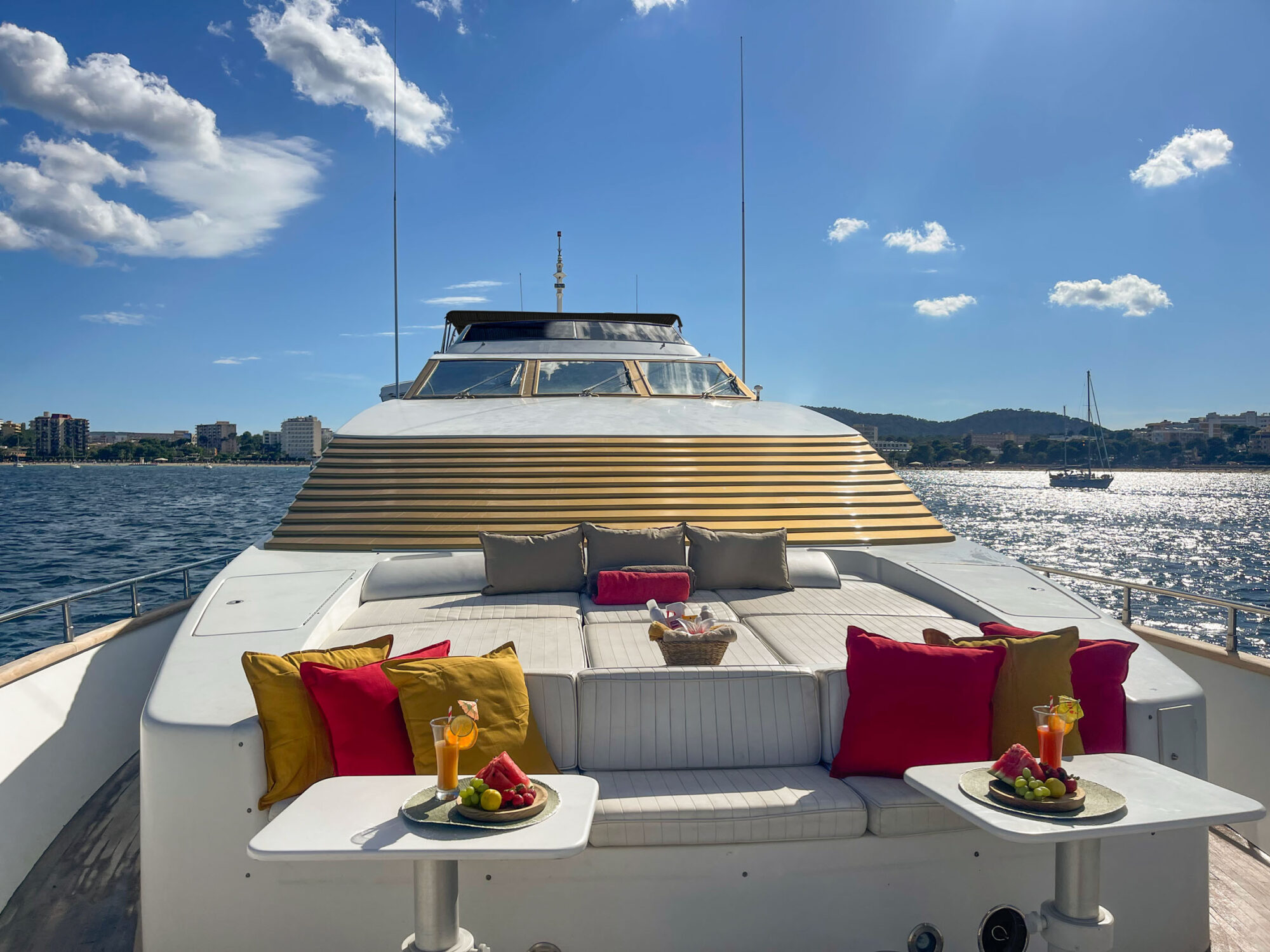 Falcon 100 — foto 4 van 21