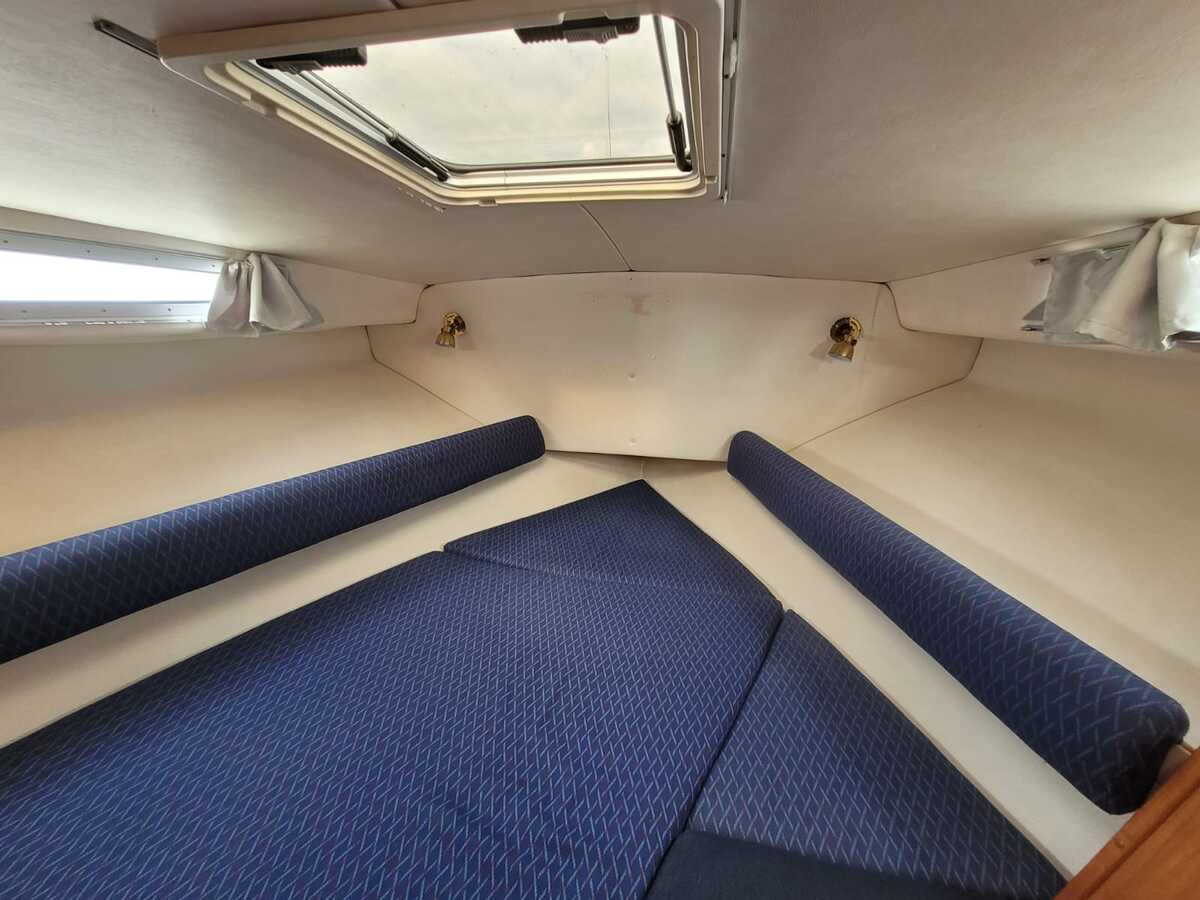Saga 32 — foto 16 van 73