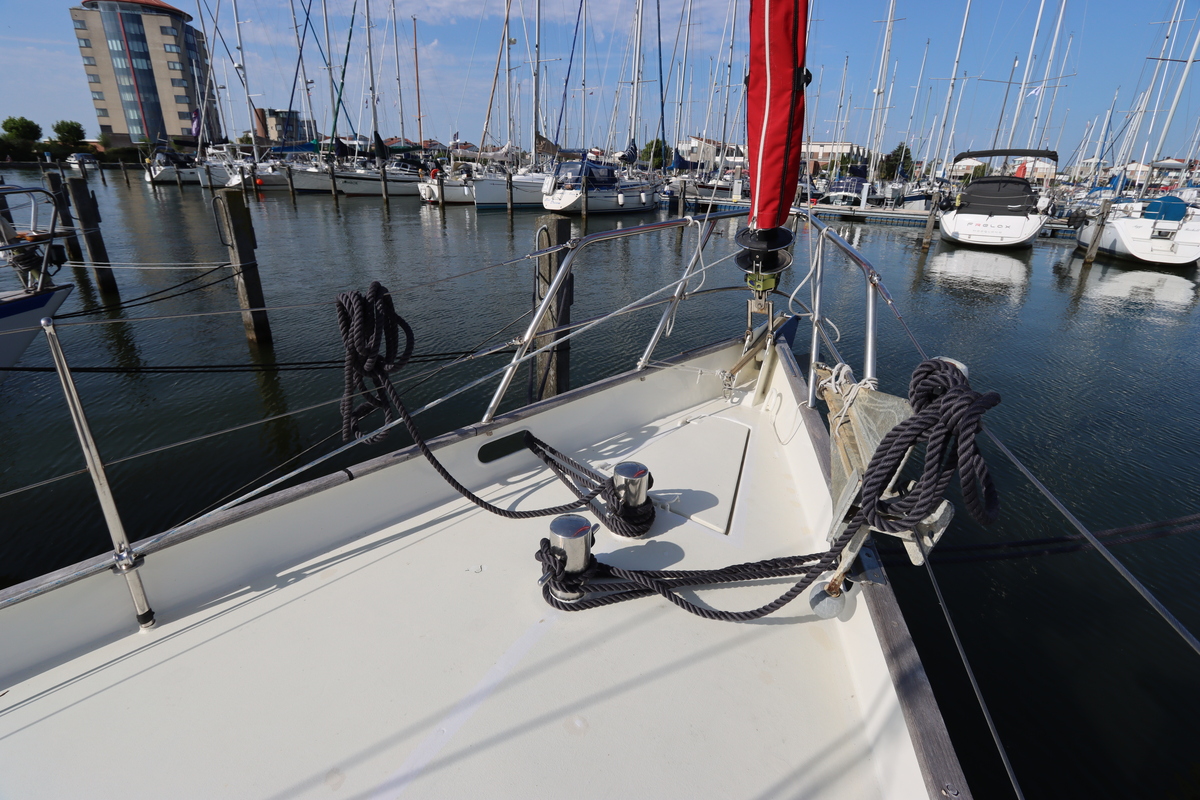 Koopmans 36 — foto 59 van 75