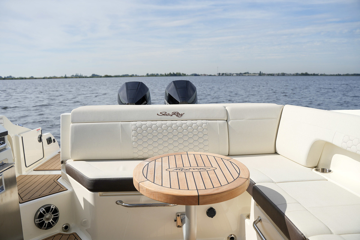 Sea Ray SDX 290 Outboard — foto 15 van 51