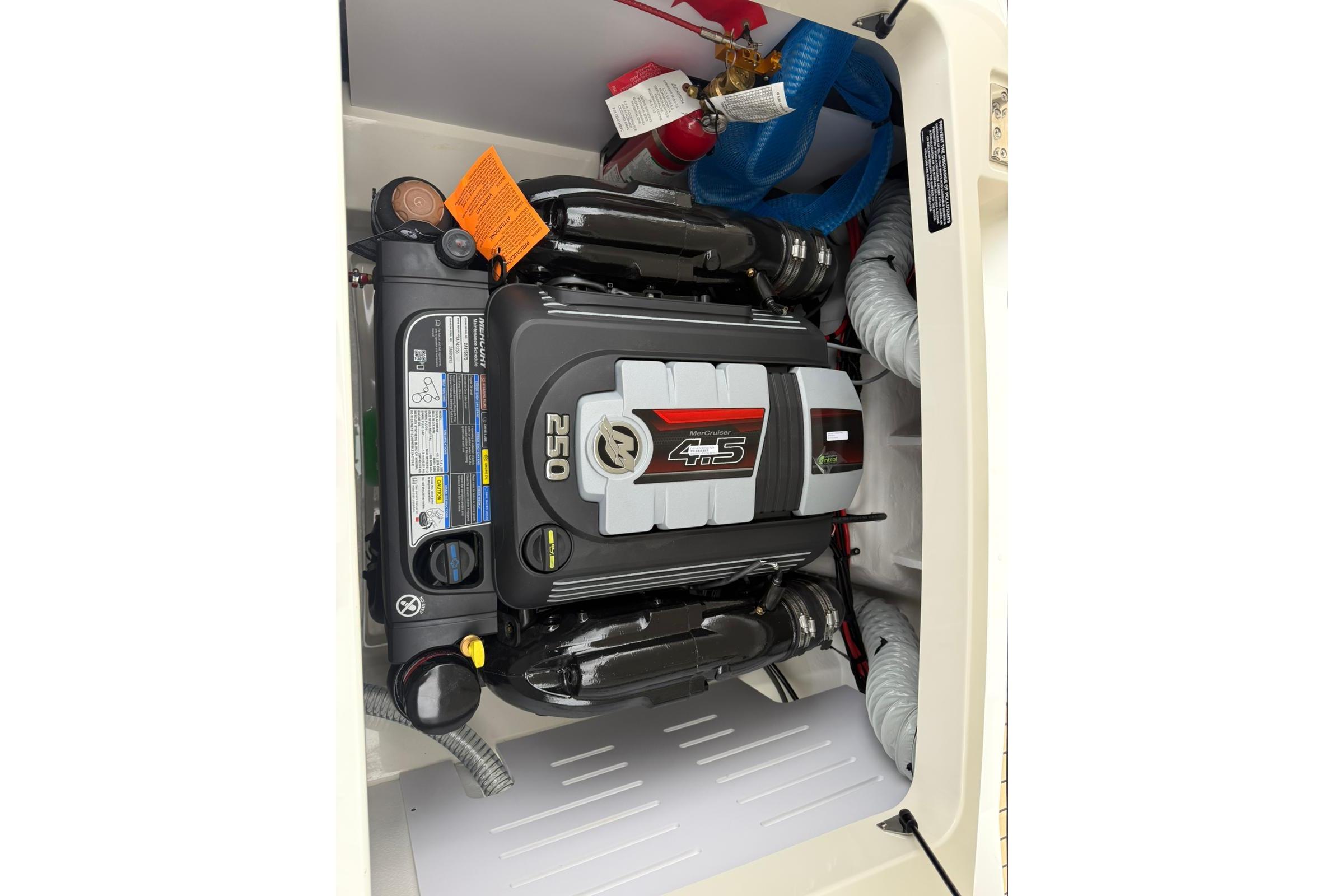Sea Ray SPX 210 — foto 18 van 41