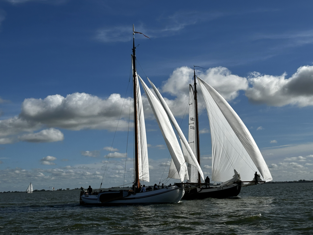 Lemsteraak Witte Eend - Roefuitvoering Hoek Design — foto 3 van 42