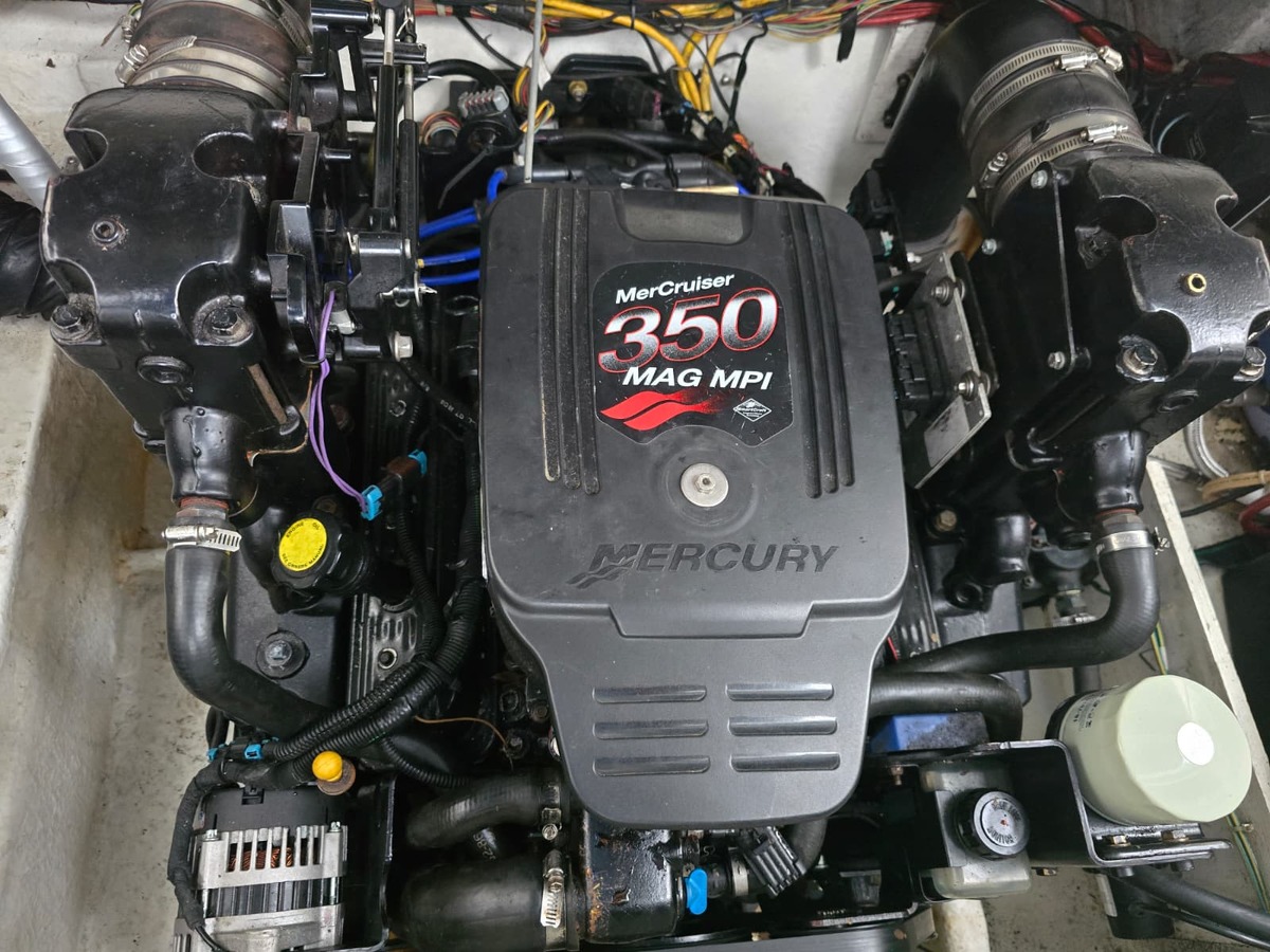 Bayliner 285 SB — foto 31 van 32
