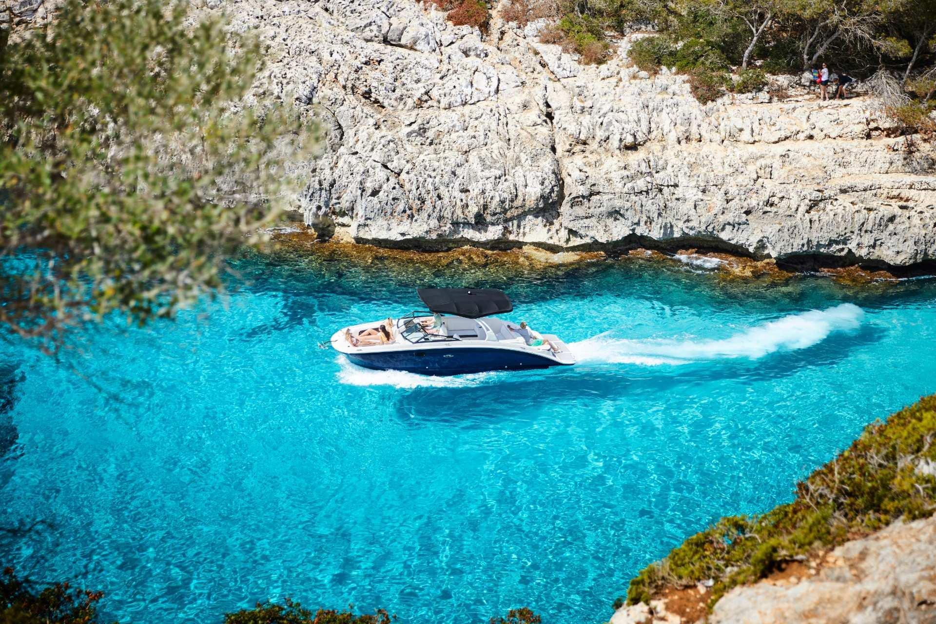 Sea Ray SDX 270 — foto 2 van 11