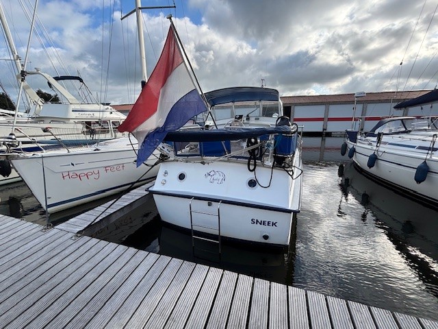 Dutch Lady — foto 1 van 8