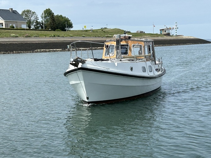 Rogger FD2 — foto 5 van 12