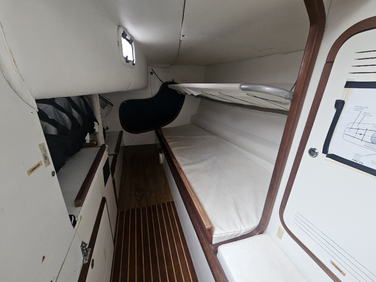 Rodman 42 — foto 23 van 33
