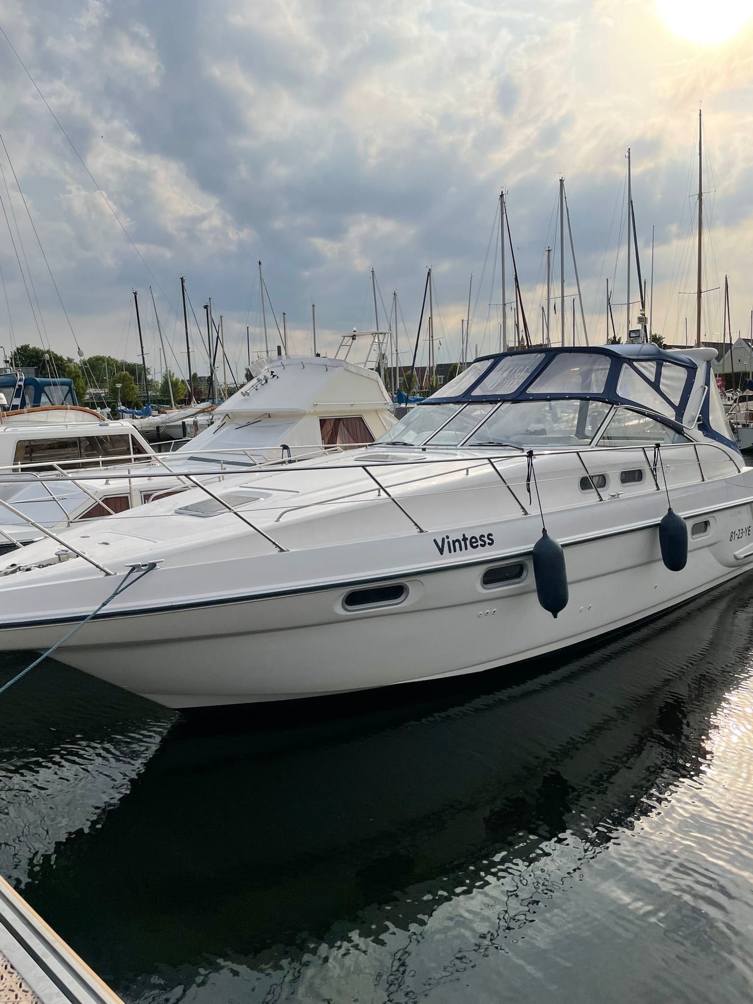Sealine S37 — foto 2 van 26