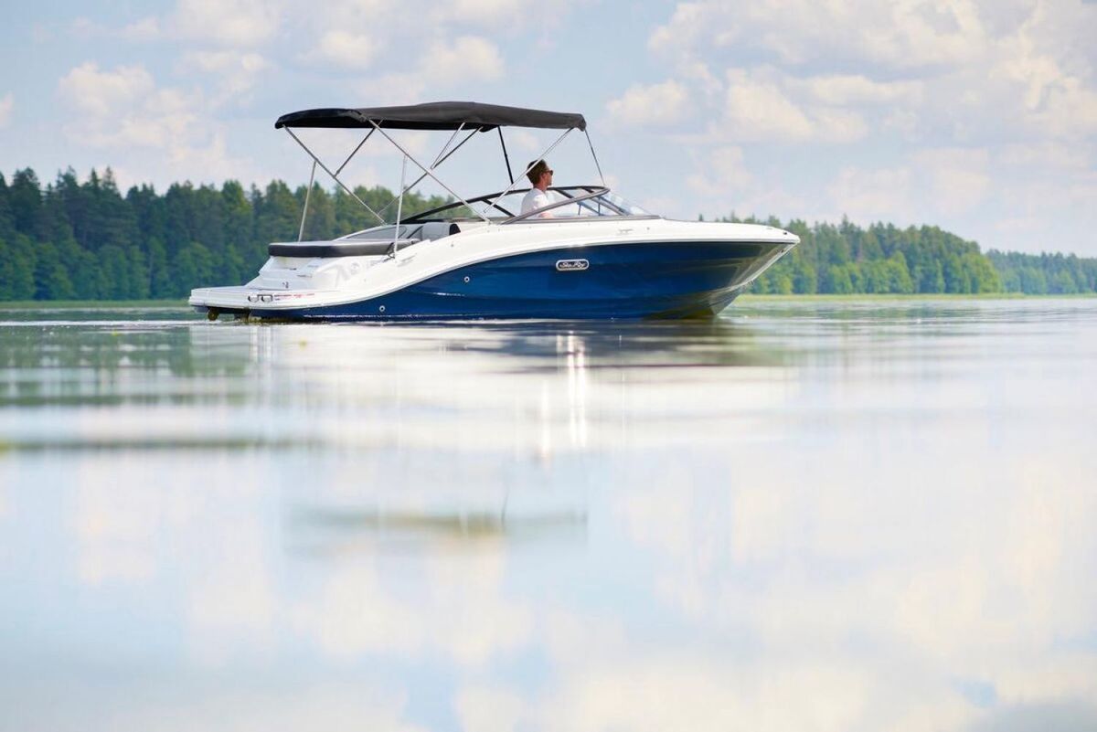 Sea Ray SPX 190 Nieuw Model — foto 2 van 29