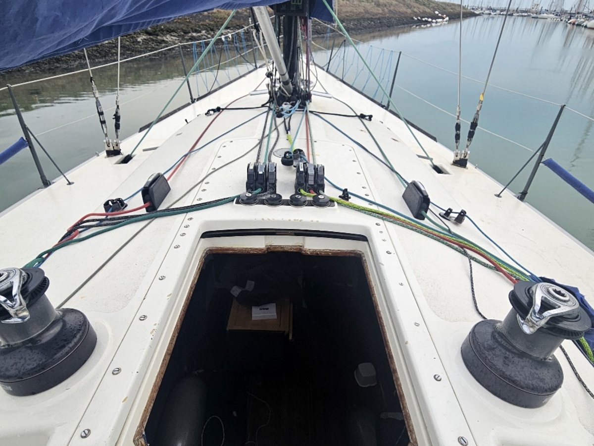 Rodman 42 — foto 8 van 33