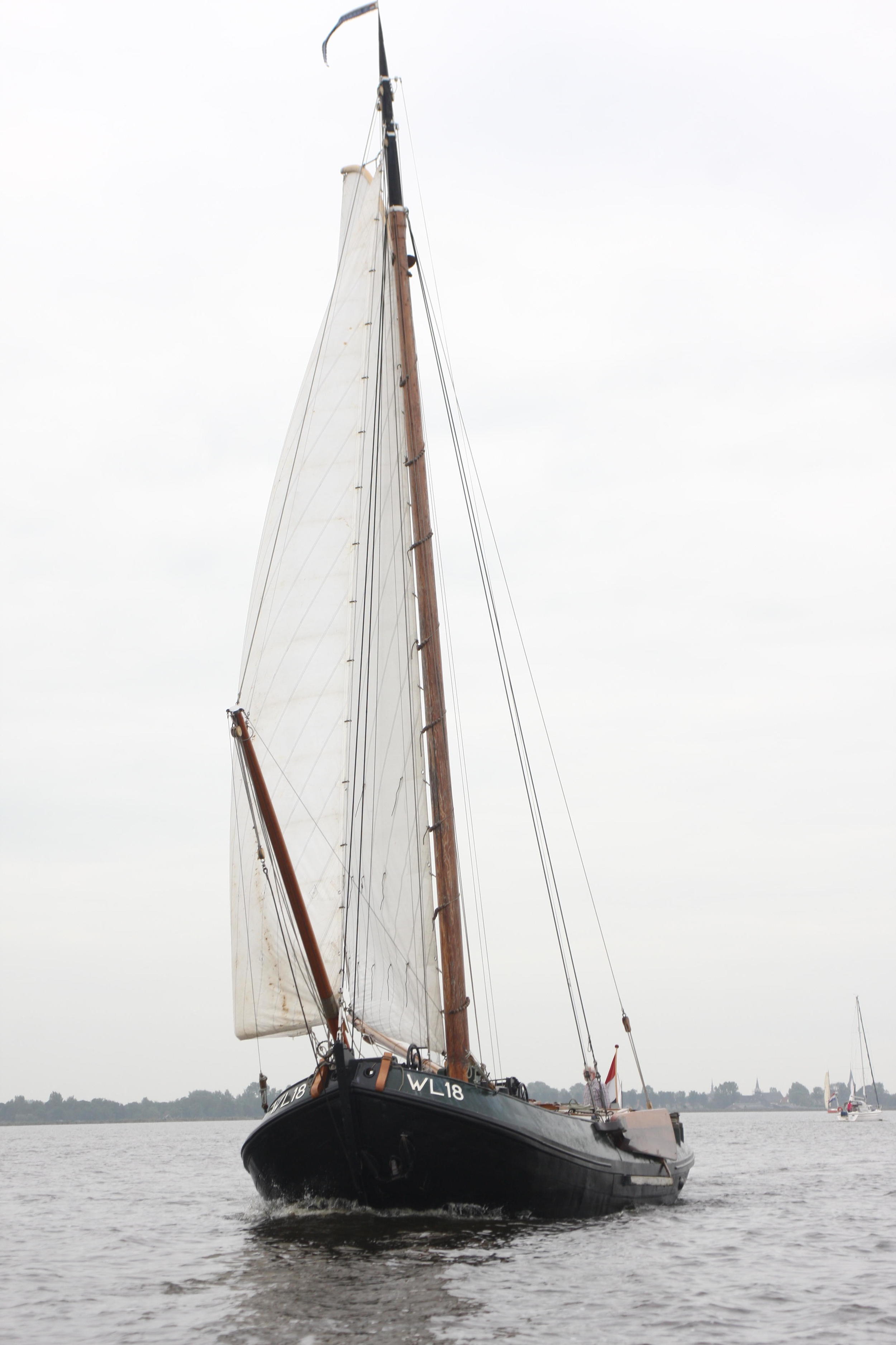Lemsteraak WL 18 Fasant - Roefuitvoering Jachtuitvoering — foto 16 van 24