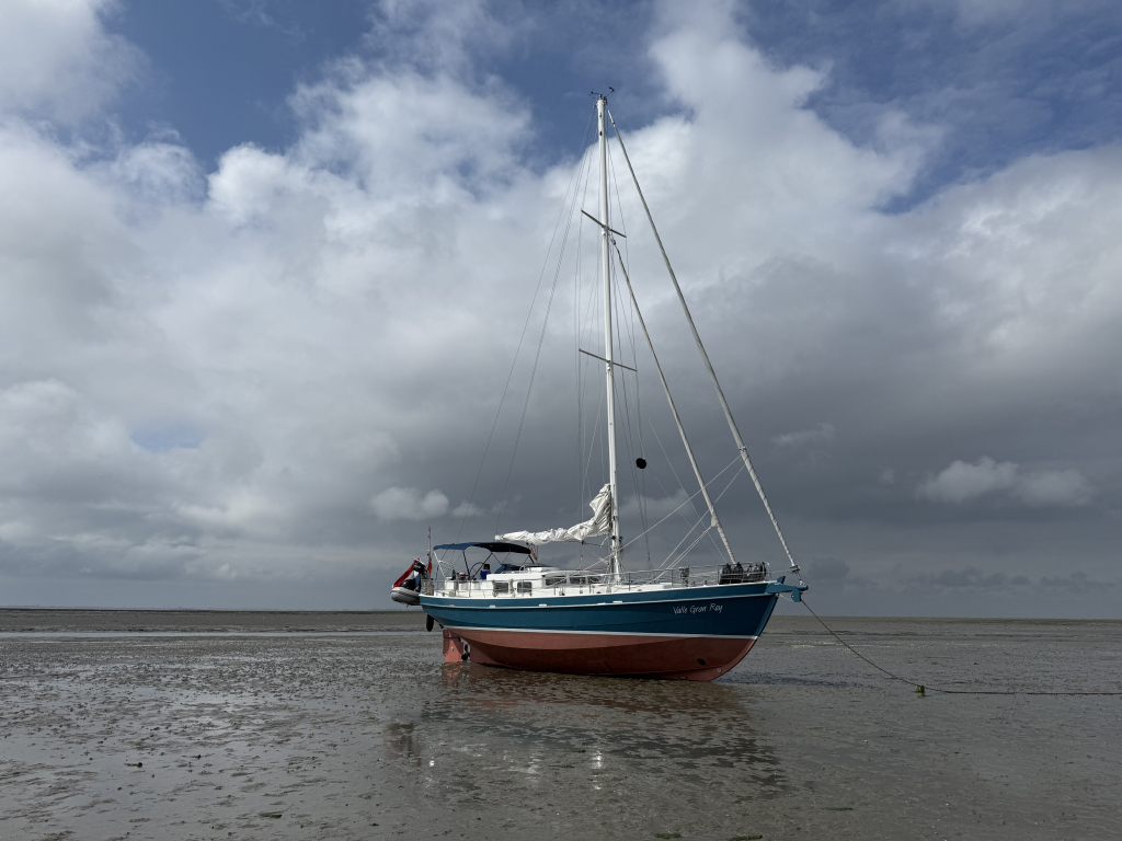 Noordkaper 42 (Gedupliceerd) (Gedupliceerd) — foto 4 van 61