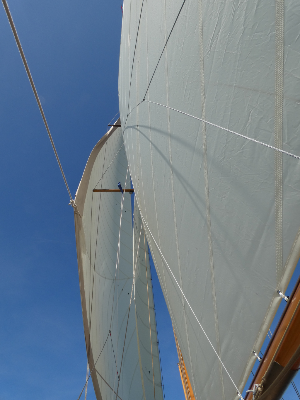Cantiere Navale Postiglinio San Domenico — foto 15 van 73