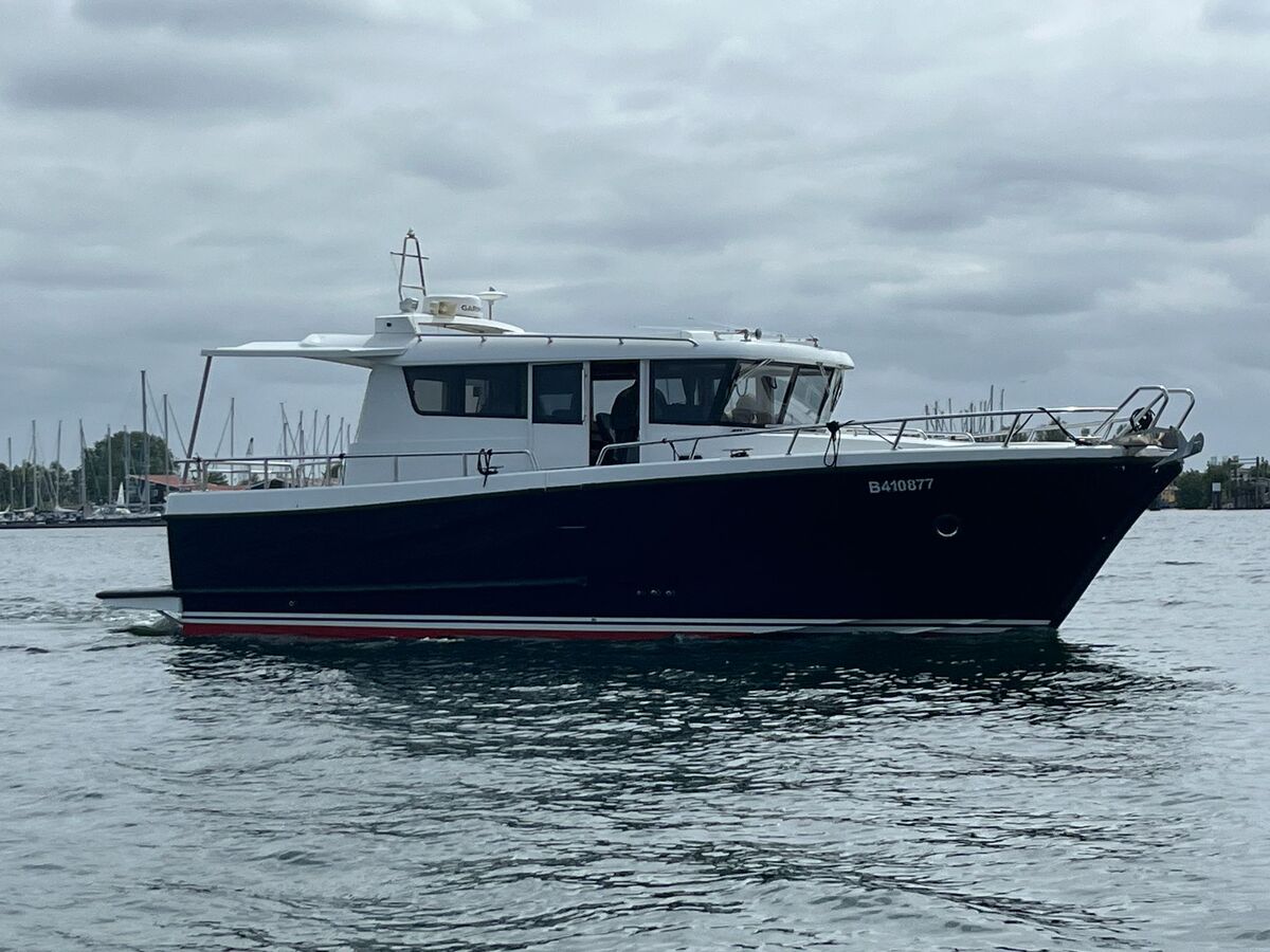 Sargo 36
