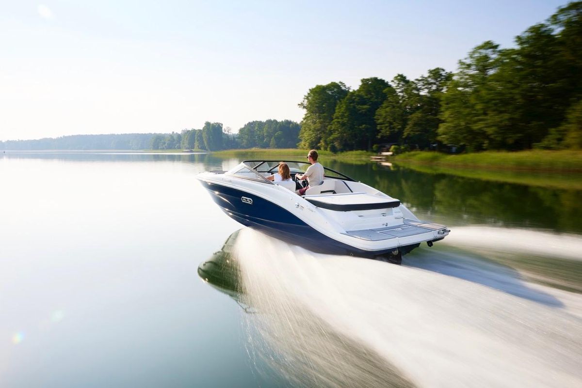 Sea Ray SPX 190 New Model 2025 — foto 20 van 20