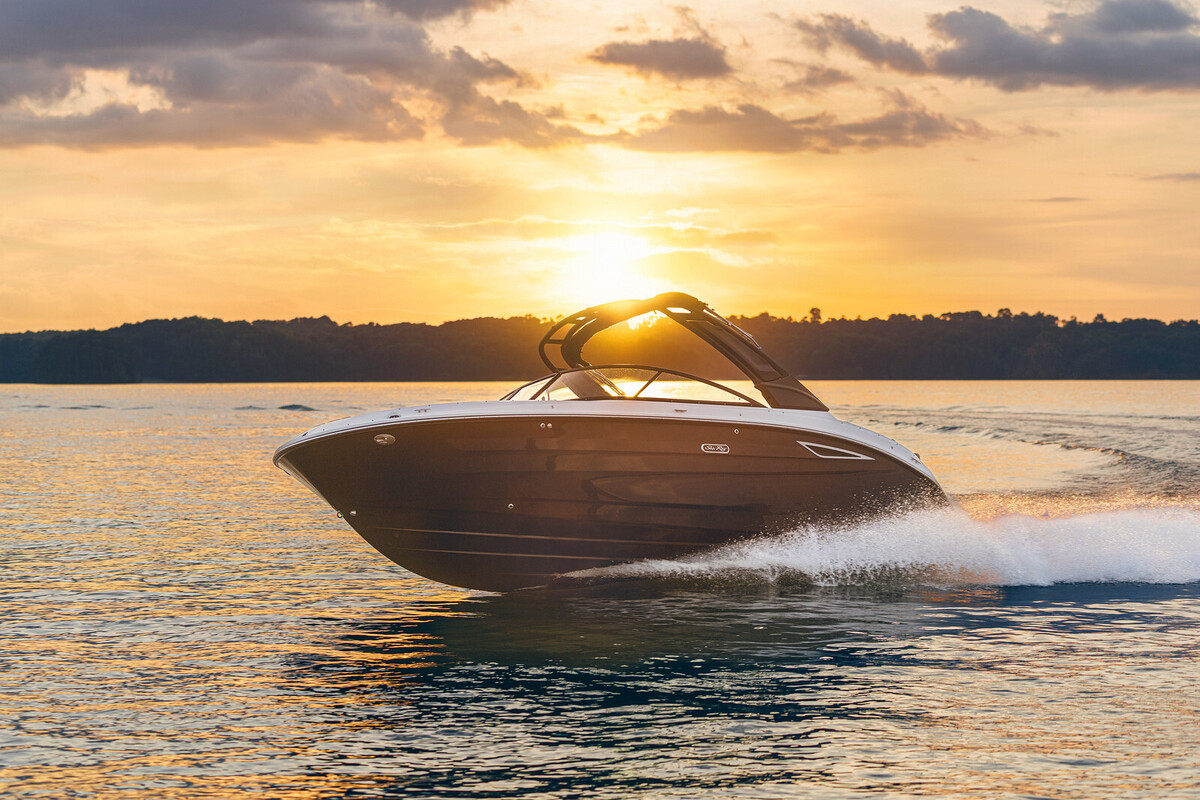 Sea Ray SDX 250 — foto 5 van 32