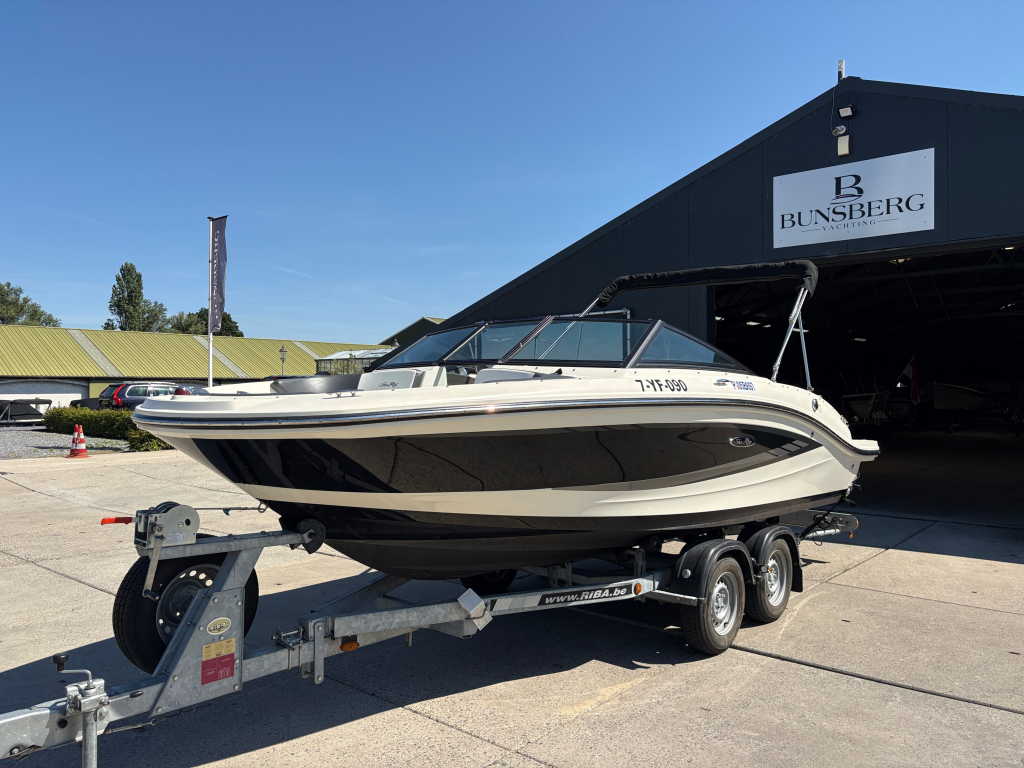 Sea Ray 190 SPX — foto 4 van 11