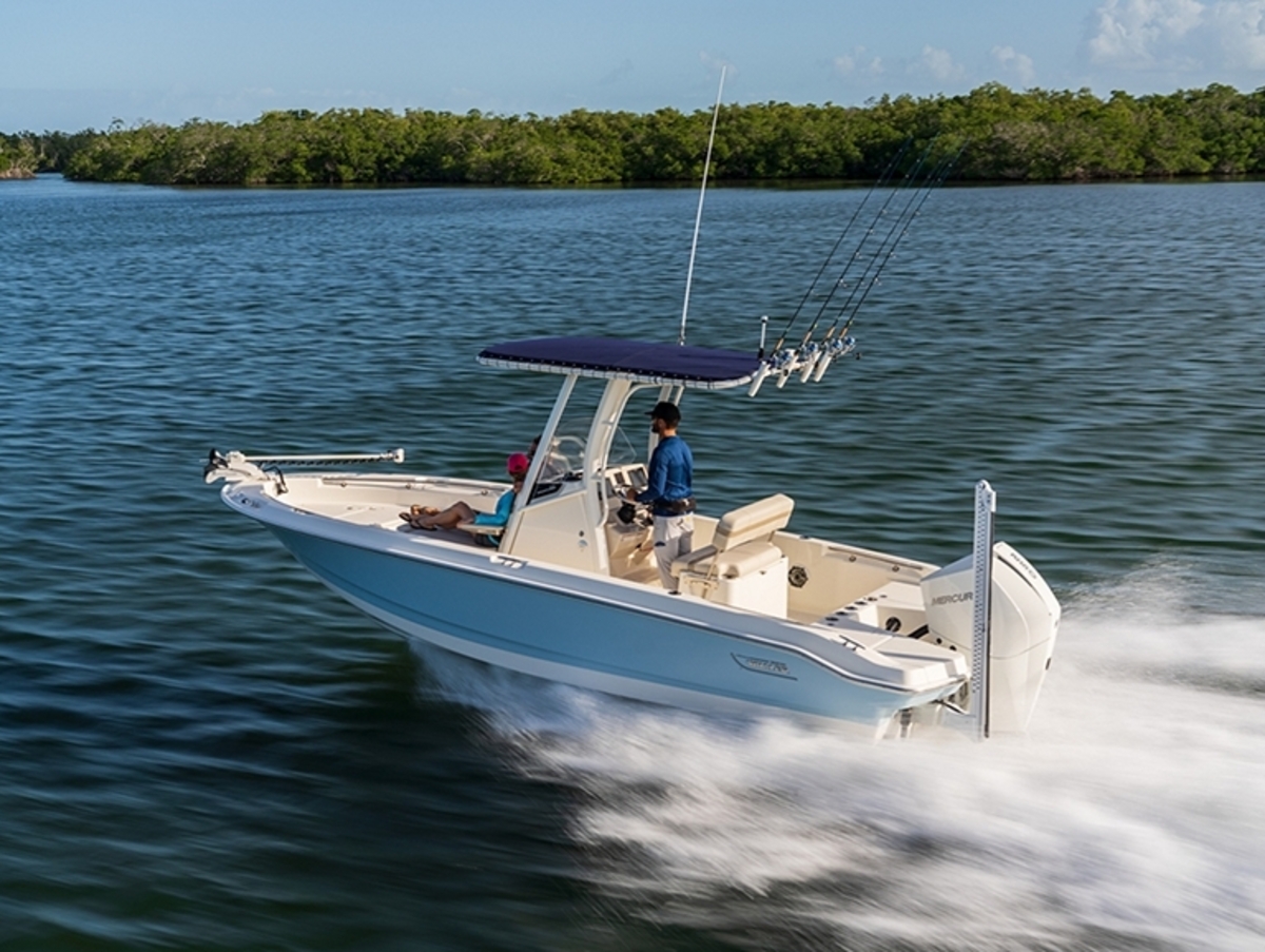 Boston Whaler 220 Dauntless — foto 16 van 17
