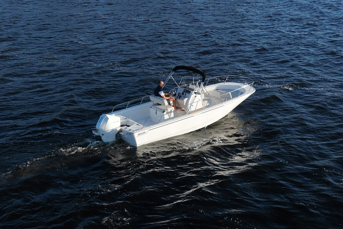 Boston Whaler 210 Montauk — foto 4 van 28