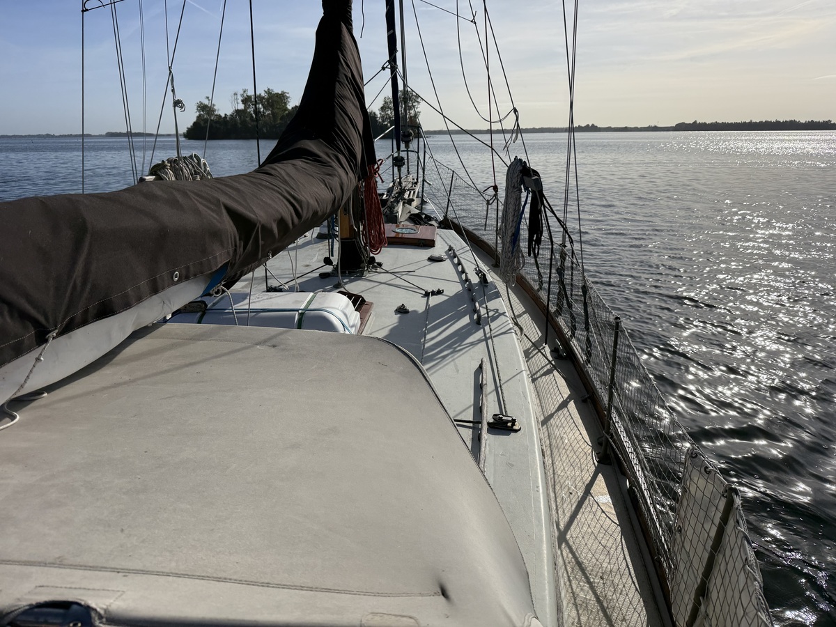 ORCA 38 — foto 64 van 74