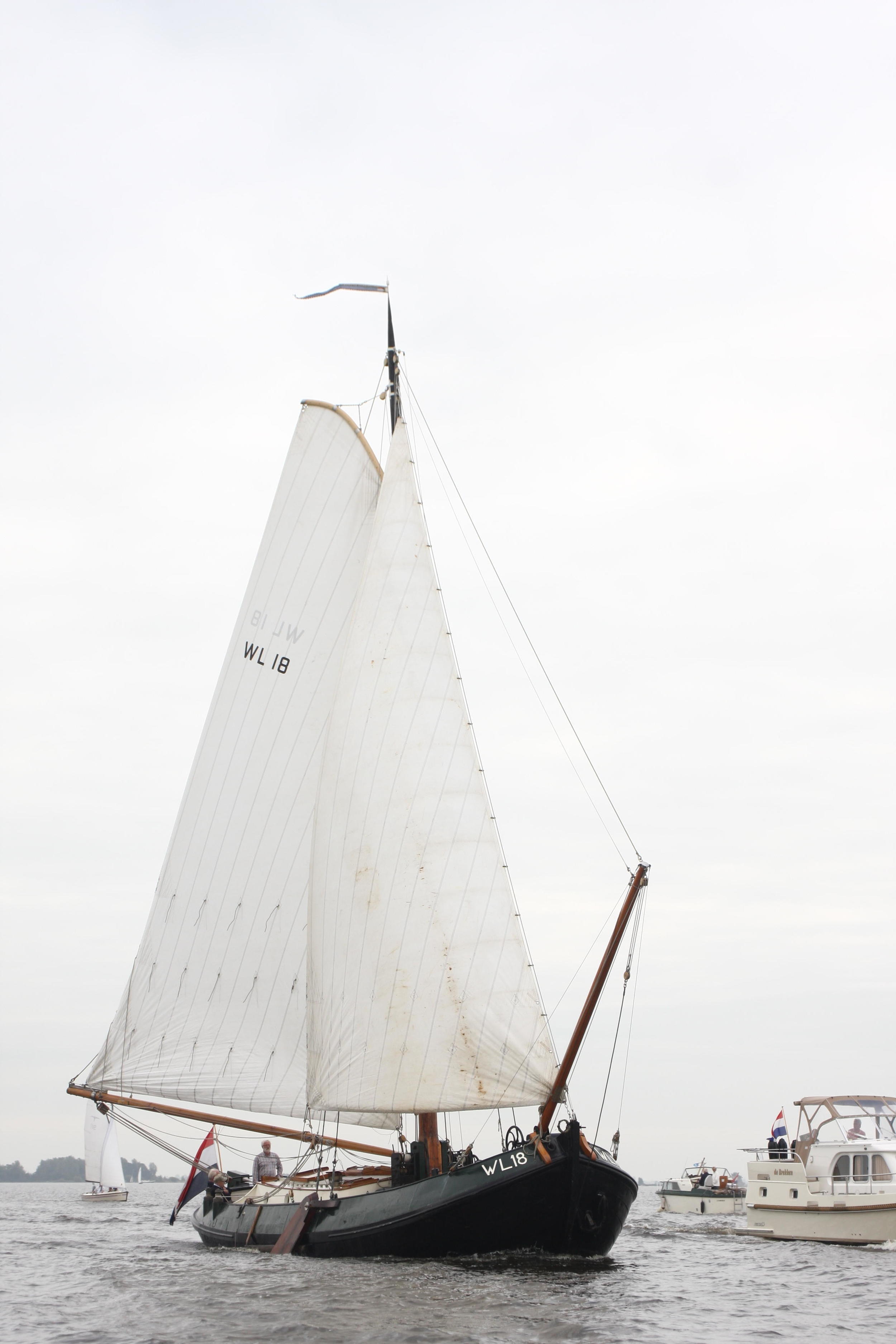 Lemsteraak WL 18 Fasant - Roefuitvoering Jachtuitvoering — foto 17 van 24