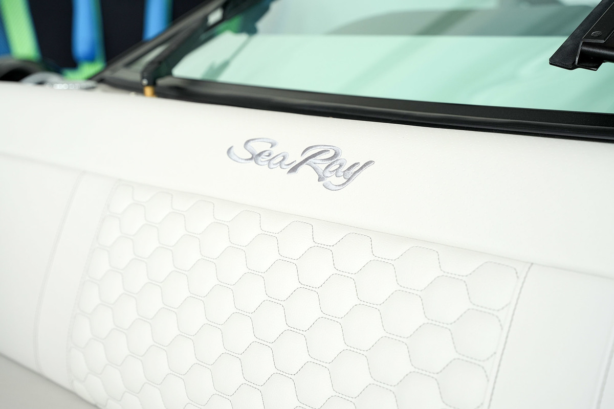 Sea Ray SDX 250 — foto 14 van 82