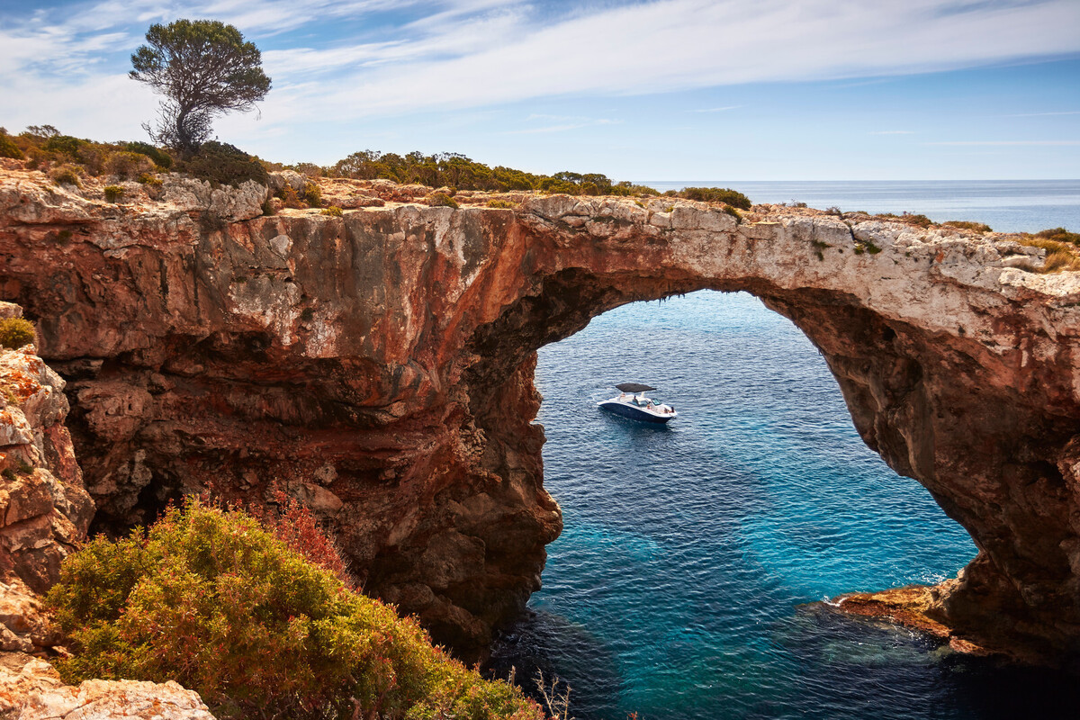 Sea Ray SDX 270 — foto 3 van 10