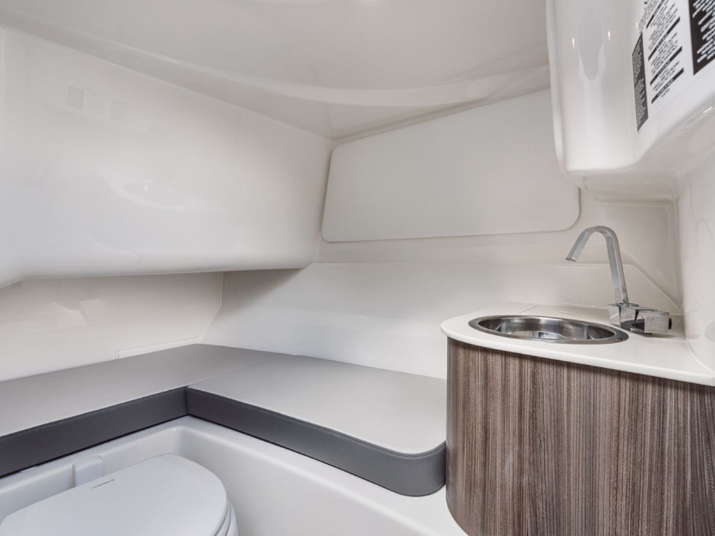 Sea Ray SDX 250 — foto 17 van 28
